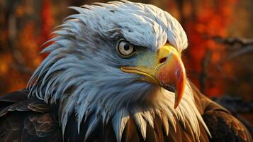 Mature American Bald Eagle, Portrait of wildlife, AI Generative photo