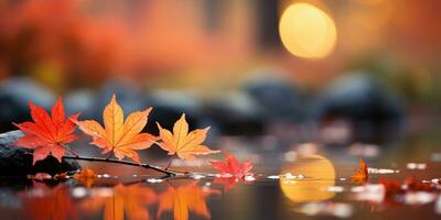 closeup colorful autumn bright autumn leaf, beautiful serene scenery, copy space for greeting card, AI Generative photo