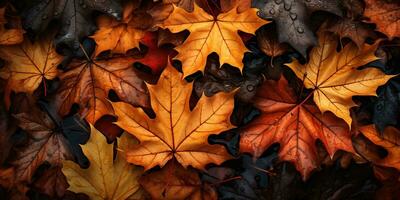 de cerca vistoso otoño brillante otoño hoja, hermosa sereno escenario, Copiar espacio para saludo tarjeta, ai generativo foto