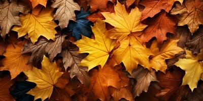 de cerca vistoso otoño brillante otoño hoja, hermosa sereno escenario, Copiar espacio para saludo tarjeta, ai generativo foto