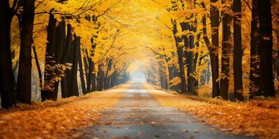 otoño bosque paisaje con la carretera y calentar luz de sol brillar mediante ramas de árboles, vistoso naturaleza, ai generativo foto