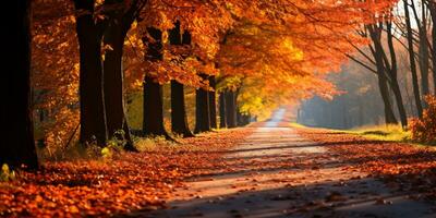 otoño bosque paisaje con la carretera y calentar luz de sol brillar mediante ramas de árboles, vistoso naturaleza, ai generativo foto