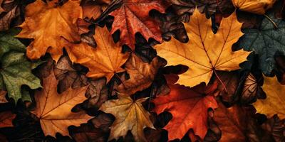 de cerca vistoso otoño brillante otoño hoja, hermosa sereno escenario, Copiar espacio para saludo tarjeta, ai generativo foto