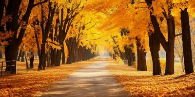 otoño bosque paisaje con la carretera y calentar luz de sol brillar mediante ramas de árboles, vistoso naturaleza, ai generativo foto
