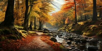 otoño bosque paisaje con la carretera y calentar luz de sol brillar mediante ramas de árboles, vistoso naturaleza, ai generativo foto