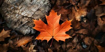 vistoso otoño hojas fondo, multicolor arce hojas antecedentes. alto calidad resolución imagen, ai generativo foto
