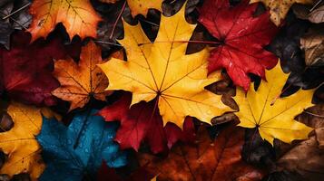 Colorful autumn leaves background, Multicolor maple leaves background. High quality resolution picture, AI Generative photo