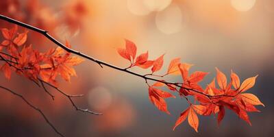 de cerca vistoso otoño brillante otoño hoja, hermosa sereno escenario, Copiar espacio para saludo tarjeta, ai generativo foto