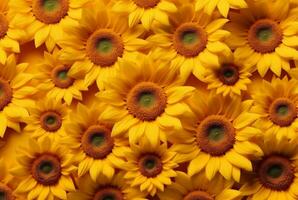 beautiful sunflower background neatly arranged. generative ai photo