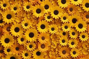 beautiful sunflower background neatly arranged. generative ai photo