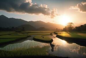 view of rice field in sunny morning. generative ai photo