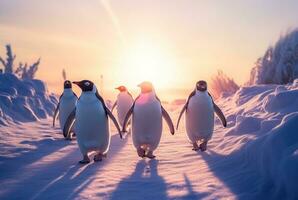 penguins playing in the snow with the beauty of the sunset. generative ai photo