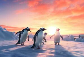 penguins playing in the snow with the beauty of the sunset. generative ai photo