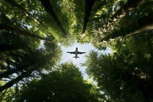 View of an airplane in the middle of a tree seen from below. generative ai photo