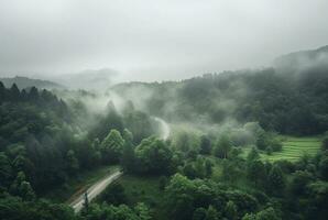 the view from the top of the road in the middle of the forest and green trees with the beauty of the mist. generative ai photo