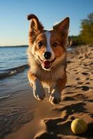 juguetón sombra de perro persiguiendo pelota en soleado playa foto