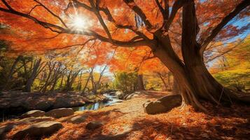 generativo ai, otoño sinfonía vibrante matices de otoño follaje foto