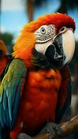 Feathered duo Two striking macaw parrots find a perch on the man's arm Vertical Mobile Wallpaper AI Generated photo