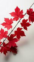 A striking contrast Red Virginia creeper leaves isolated against a clean white backdrop Vertical Mobile Wallpaper AI Generated photo