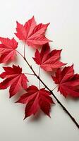 A striking contrast Red Virginia creeper leaves isolated against a clean white backdrop Vertical Mobile Wallpaper AI Generated photo