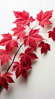 A striking contrast Red Virginia creeper leaves isolated against a clean white backdrop Vertical Mobile Wallpaper AI Generated photo