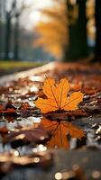 Selective focus on fallen leaves, creating an autumnal tapestry on the path Vertical Mobile Wallpaper AI Generated photo