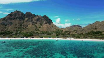 aérien vue de rose plage dans Komodo video