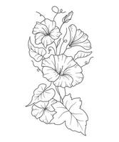 Morning Glory Line Art. Morning Glory outline Illustration. September Birth Month Flower. Morning Glory outline isolated on white. Hand painted line art botanical illustration vector