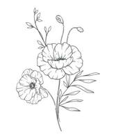 Poppy Line Art. Poppy outline Illustration. August Birth Month Flower. Poppy  outline isolated on white. Hand painted line art botanical illustration. vector