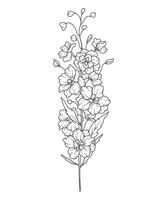 Larkspur Line Art. Delphinium outline Illustration. July Birth Month Flower. Delphinium outline isolated on white. Hand painted line art botanical illustration. vector