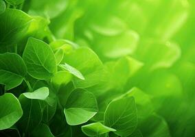 Green leaves background with sunlight and bokeh. Nature background. AI Generated. photo