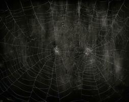 spider web on grunge black background, halloween concept. AI Generated. photo