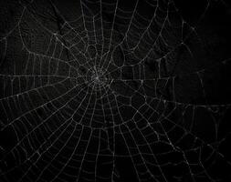 Spider web on black background. Halloween or horror concept. Space for text. . photo
