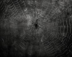 spider on a spider web, 3d render, black and white. AI Generated. photo