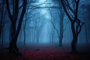 Mysterious dark forest in a foggy night. Halloween background. . photo