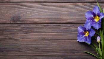 Purple crocus flowers on wooden background. Top view with copy space. AI Generated. photo