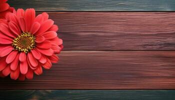 Red gerbera flower on wooden background. Top view with copy space. AI Generated. photo