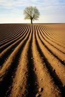 Lonely tree on a ploughed field in the spring. AI Generated. photo