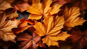 Autumn maple leaves on black background, top view. Space for text. AI Generated. photo