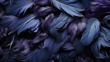 Purple and black feathers as a background. Texture of feathers. AI Generated. photo
