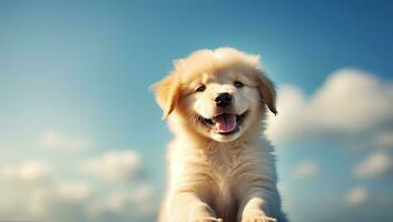 Cute Golden Retriever puppy sitting on blue sky background. AI Generated. photo