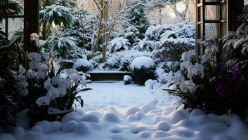 Snowy garden in winter with snow and daffodils. AI Generated. photo