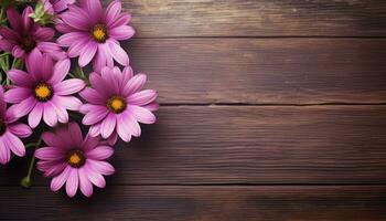 Bouquet of pink daisies on a wooden background. AI Generated. photo