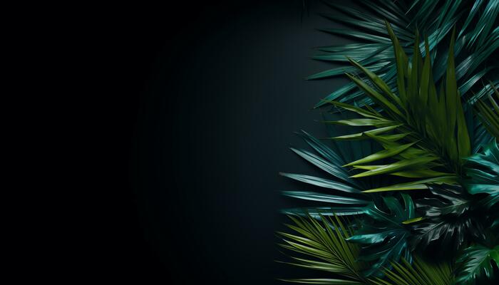 Black Nature Background Stock Photos, Images and Backgrounds for Free