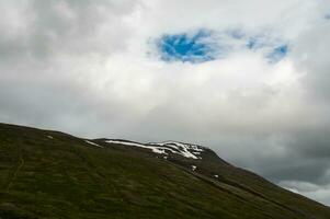 Detail of Iceland's lush natural landscape photo