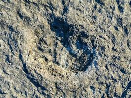 Natural monument of fossil dinosaur footprints in Serra D 'Aire in Pedreira do Galinha, in Portugal. A pedagogical circuit was created at the site, where visitors can see and touch the footprints photo