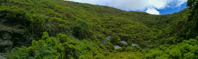 Typical landscape of the Azores archipelago in Portugal photo