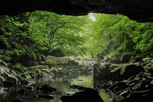 Cave in mountains covered with green foliage in Wales, UK photo
