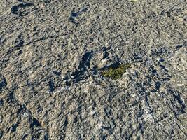 Natural monument of fossil dinosaur footprints in Serra D 'Aire in Pedreira do Galinha, in Portugal. A pedagogical circuit was created at the site, where visitors can see and touch the footprints photo