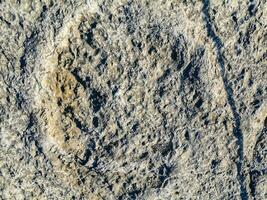 Natural monument of fossil dinosaur footprints in Serra D 'Aire in Pedreira do Galinha, in Portugal. A pedagogical circuit was created at the site, where visitors can see and touch the footprints photo